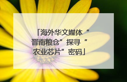 海外华文媒体“晋南粮仓”探寻“农业芯片”密码
